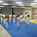 Q쓹