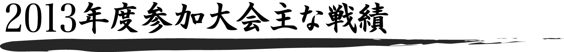 2013年度参加大会主な戦績